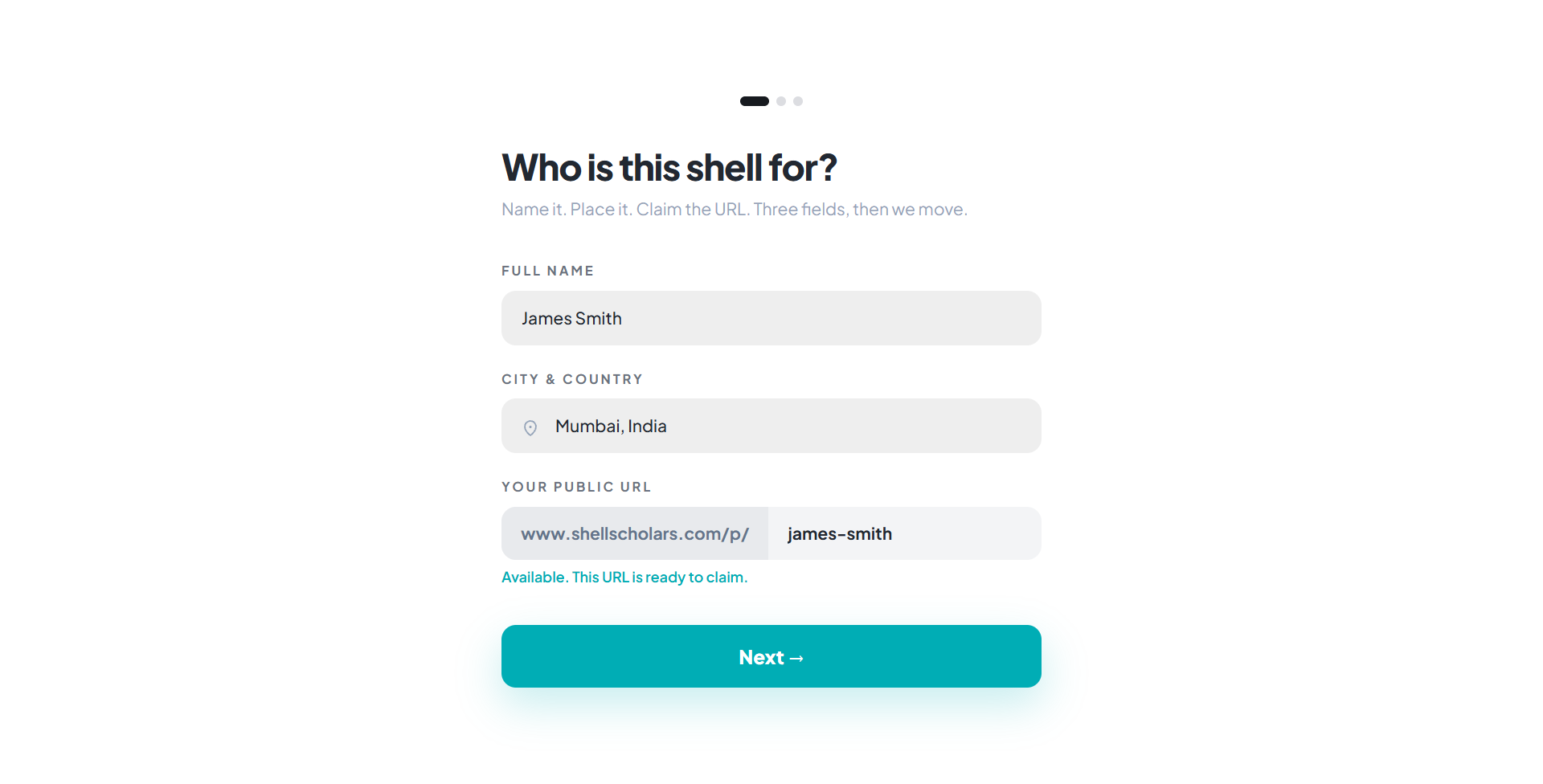 Onboarding step 1 form with Full name, City and country, and Public URL fields. Save screenshot to public/images/help/onboarding-step-1-details.png