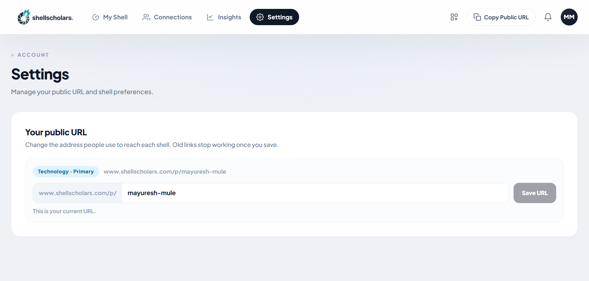 Settings tab public URL editor with live availability check. Save screenshot to public/images/help/settings-public-url.png